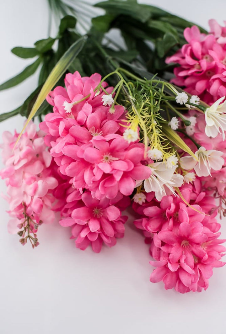 Beauty Pink hyacinth bush - Greenery Market63512PK