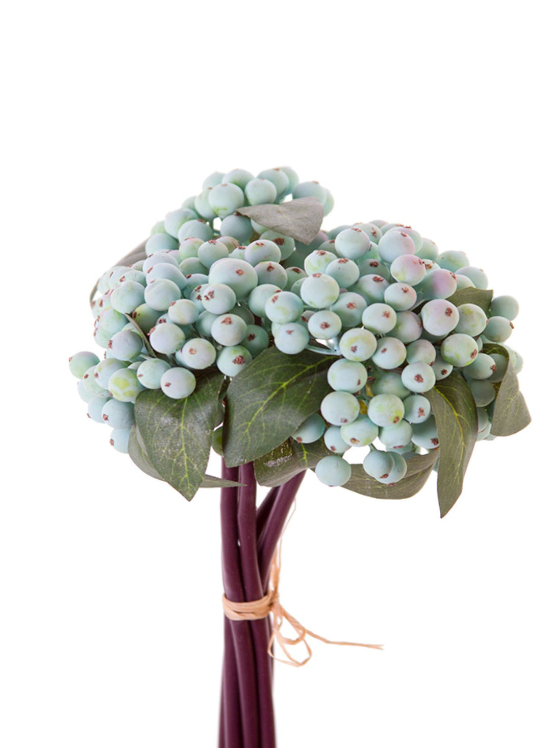Berry bundle - light blue - Greenery Market2110160LT