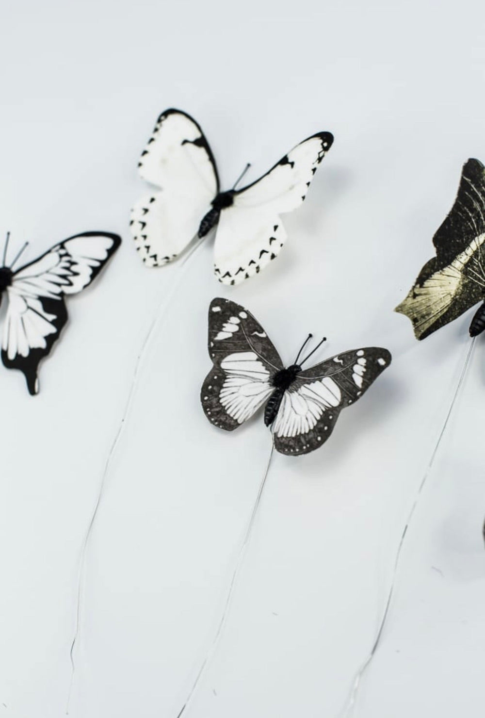 Black and white Fabric butterflies - Greenery MarketWreath attachmentsMT24390 wht