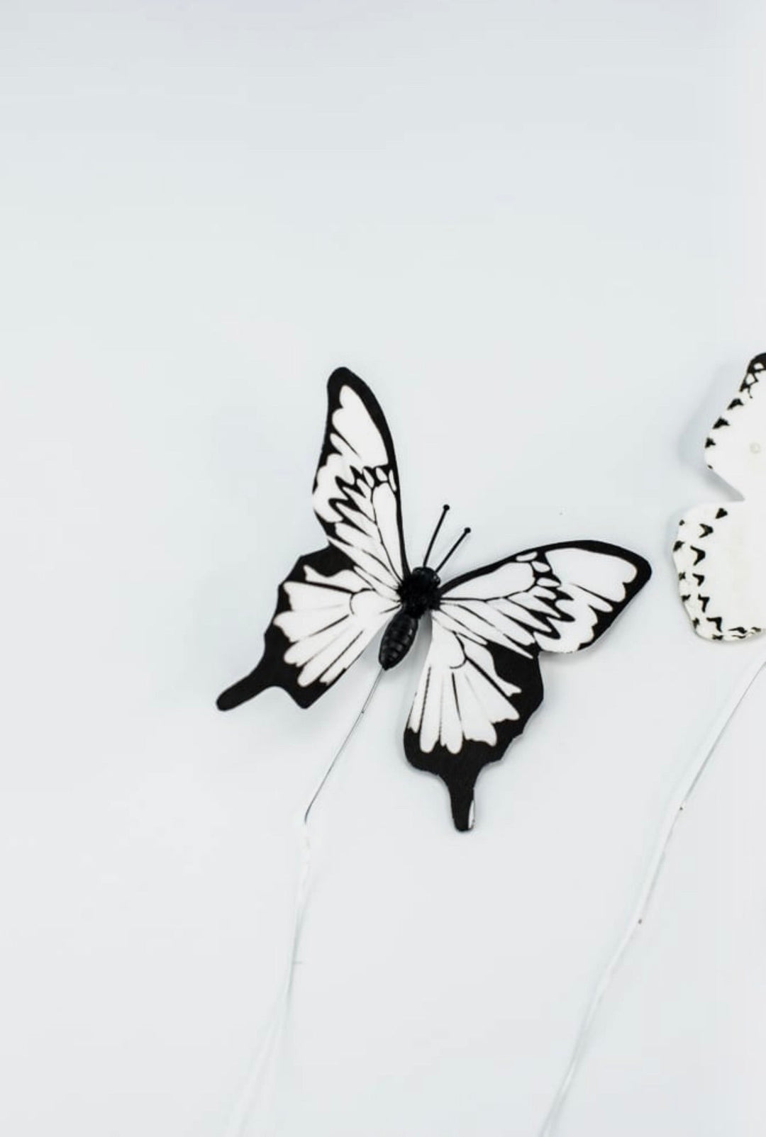Black and white Fabric butterflies - Greenery MarketWreath attachmentsMT24390 wht