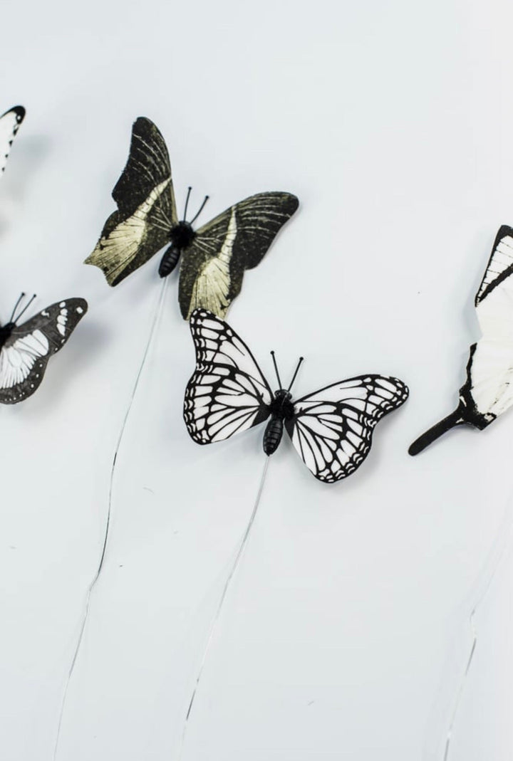Black and white Fabric butterflies - Greenery MarketWreath attachmentsMT24390 wht