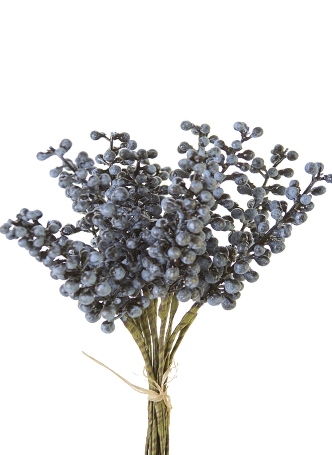 Blue Berry bundle - Greenery Market2110152BL