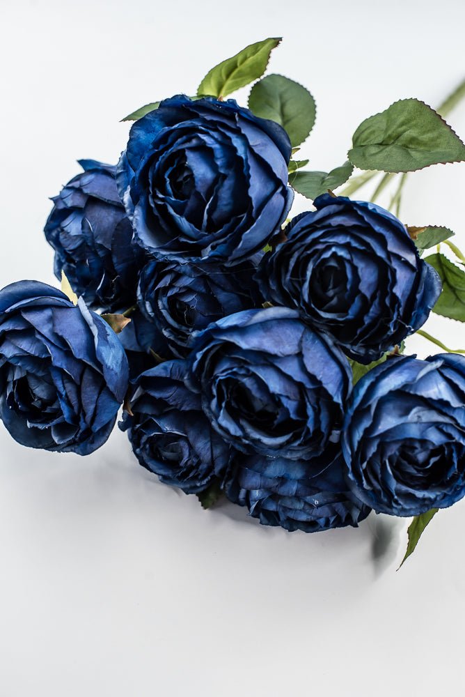 Blue Cabbage Rose Bush - Greenery Market27178