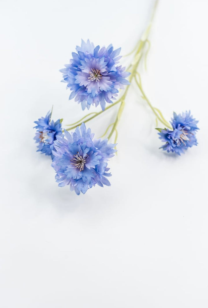 Blue Cornflower Spray - Greenery Market220732