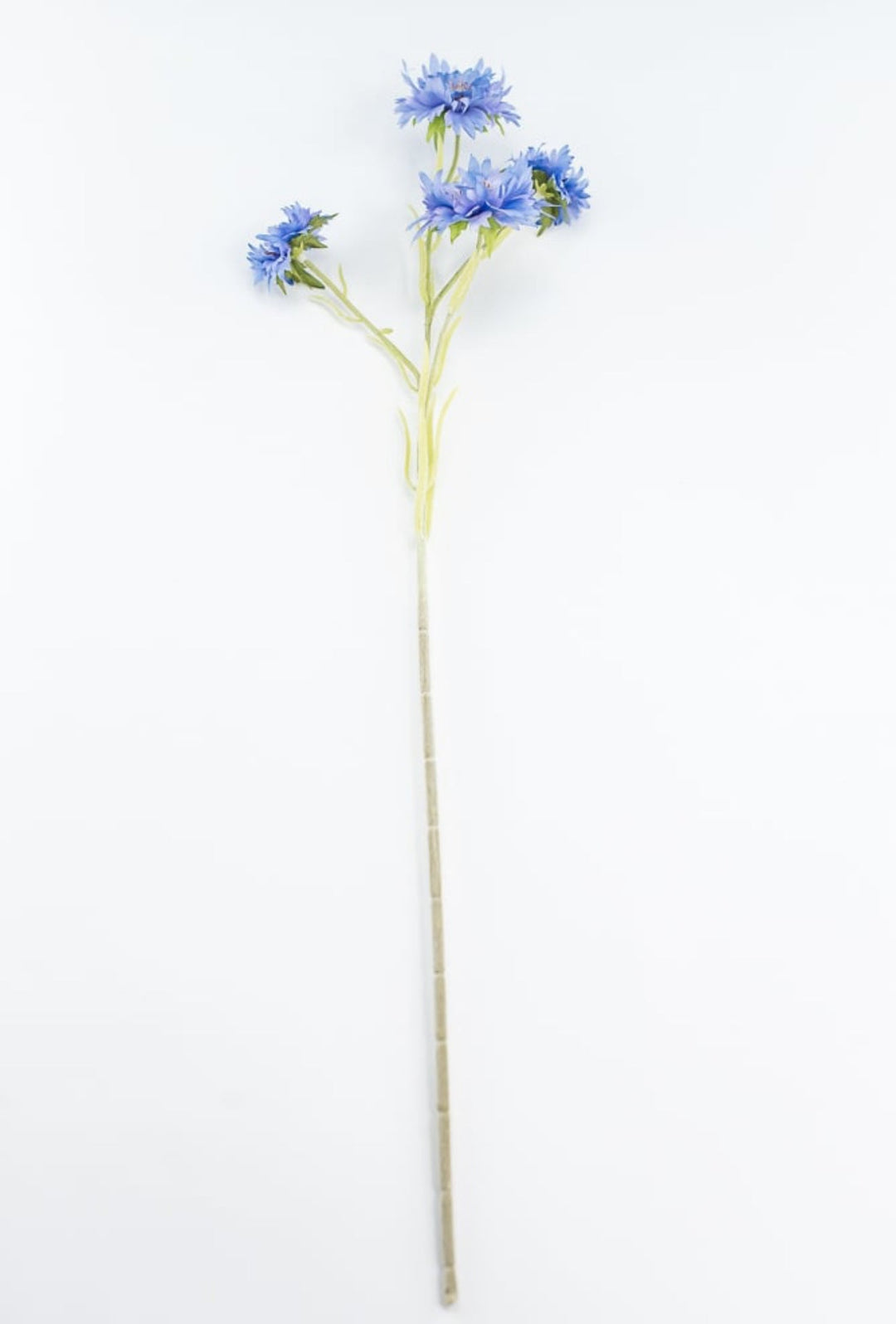 Blue Cornflower Spray - Greenery Market220732