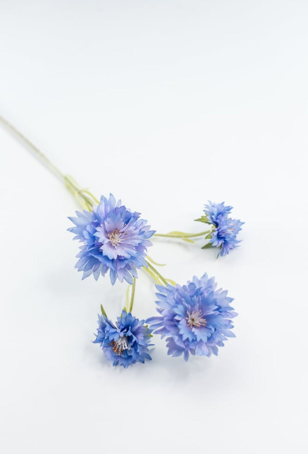 Blue Cornflower Spray - Greenery Market220732