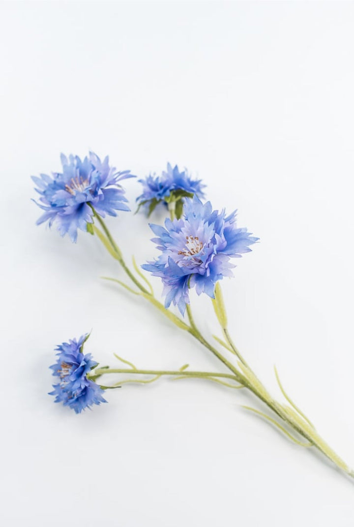 Blue Cornflower Spray - Greenery Market220732
