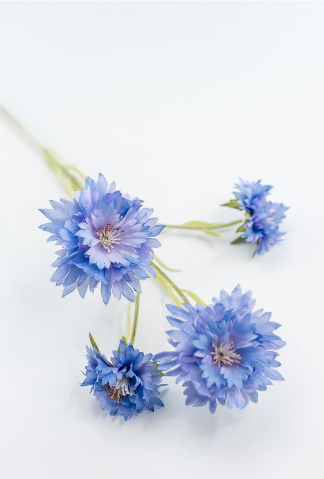 Blue Cornflower Spray - Greenery Market220732