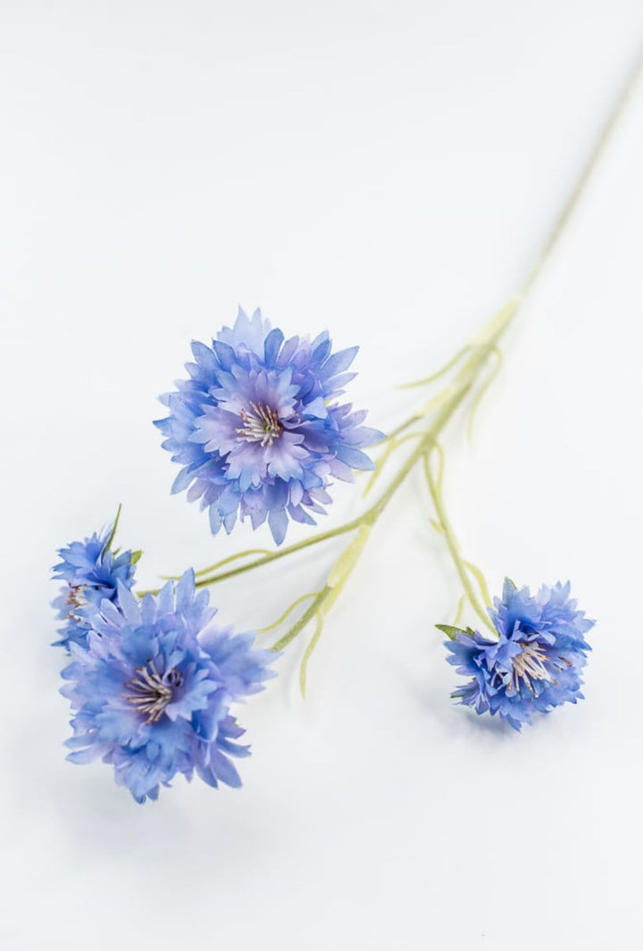 Blue Cornflower Spray - Greenery Market220732