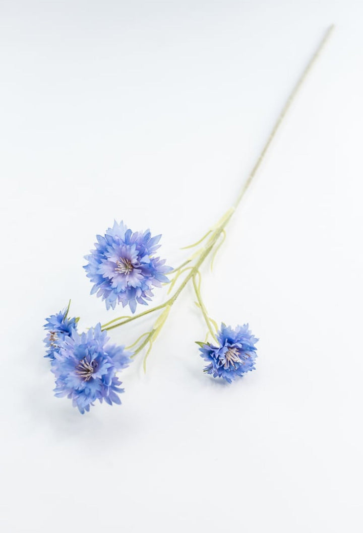Blue Cornflower Spray - Greenery Market220732