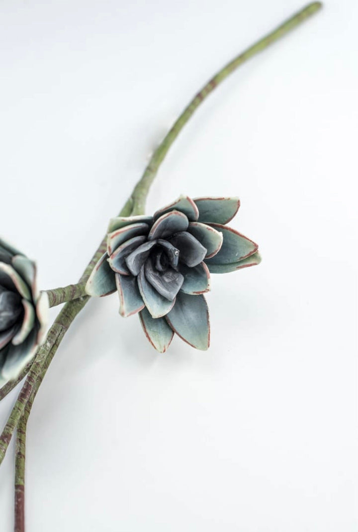 Blue Green Echeveria Hanging - Real Touch - Greenery Market287343