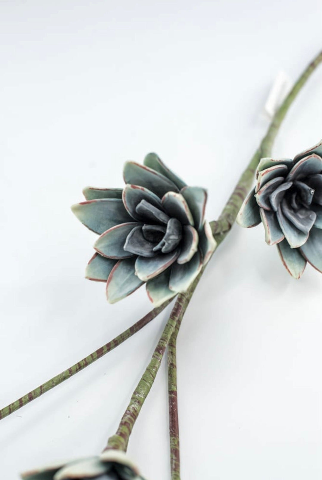 Blue Green Echeveria Hanging - Real Touch - Greenery Market287343