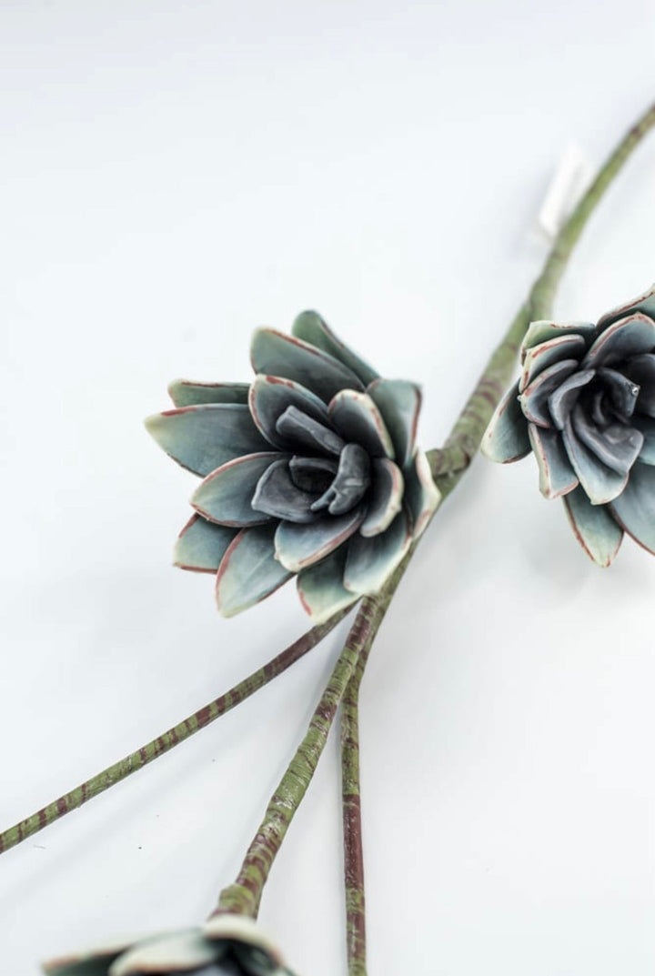 Blue Green Echeveria Hanging - Real Touch - Greenery Market287343