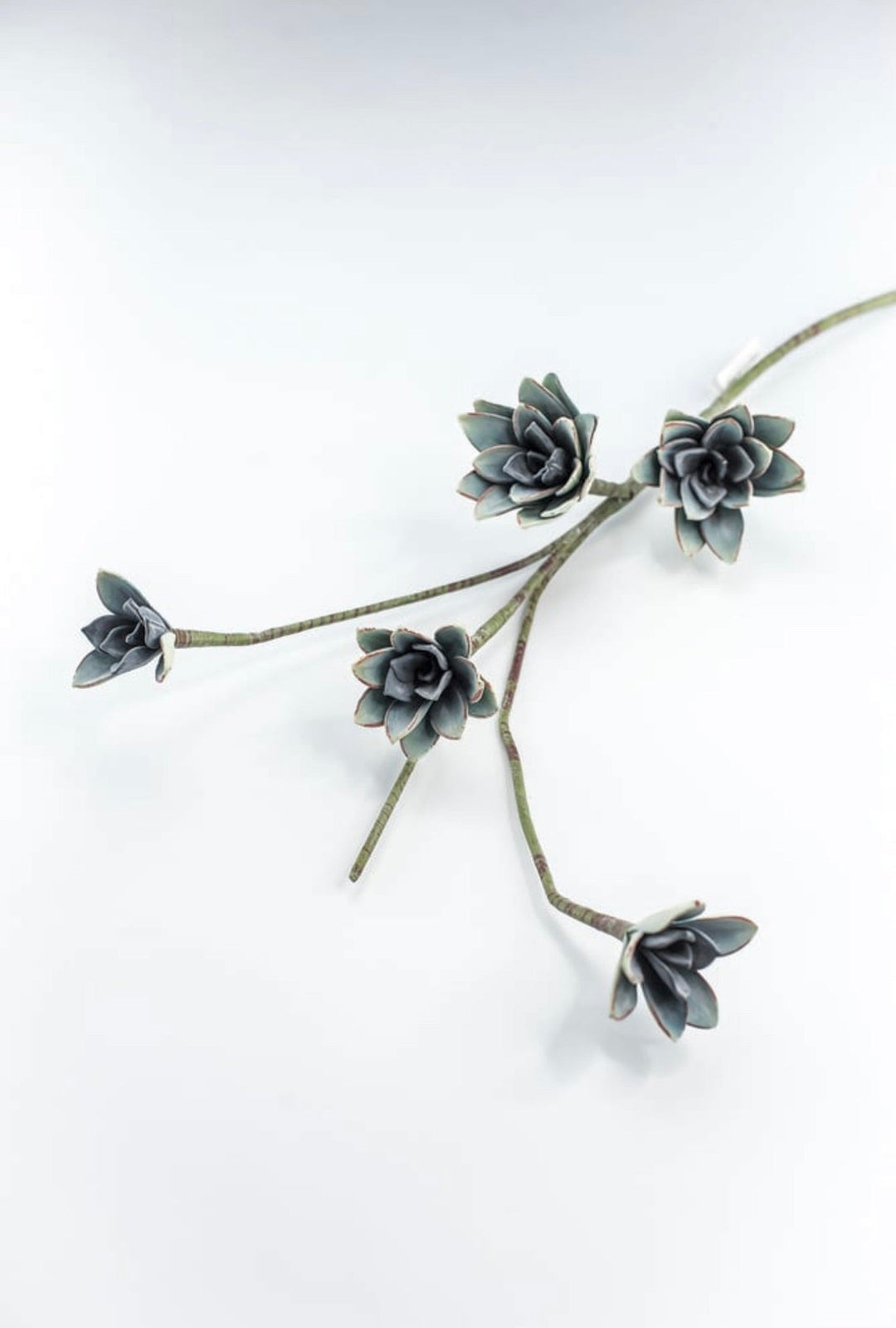 Blue Green Echeveria Hanging - Real Touch - Greenery Market287343
