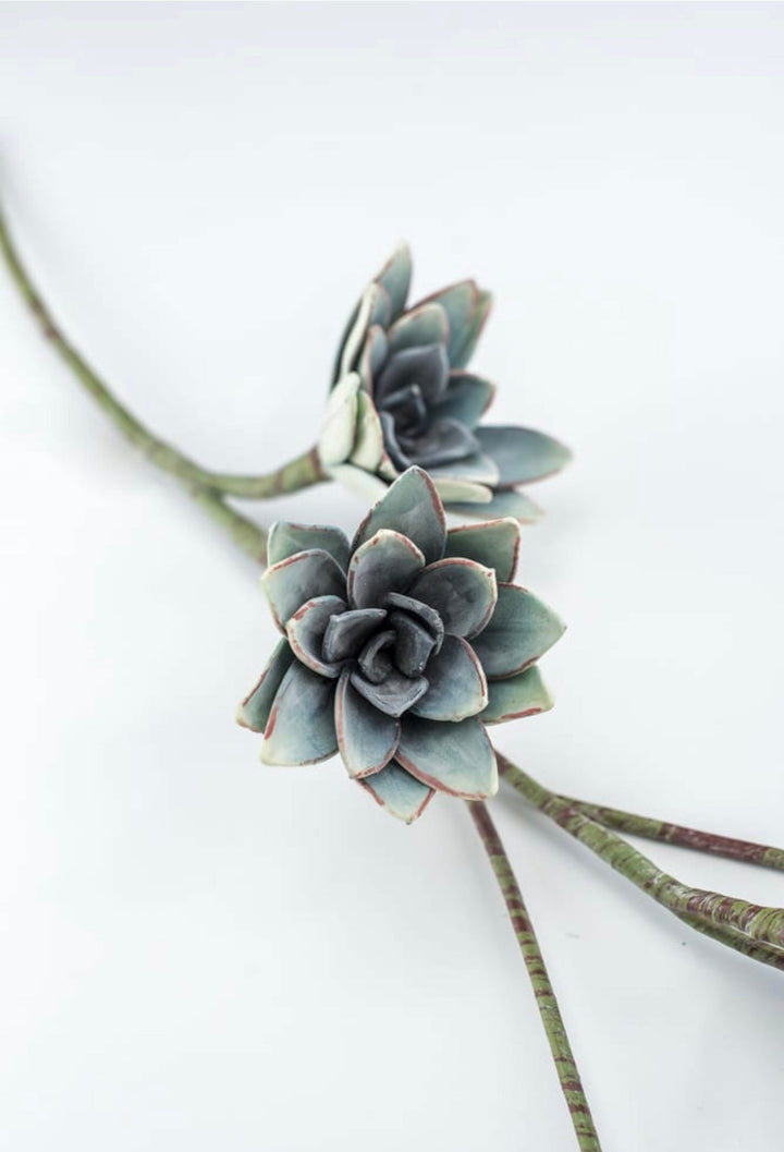 Blue Green Echeveria Hanging - Real Touch - Greenery Market287343