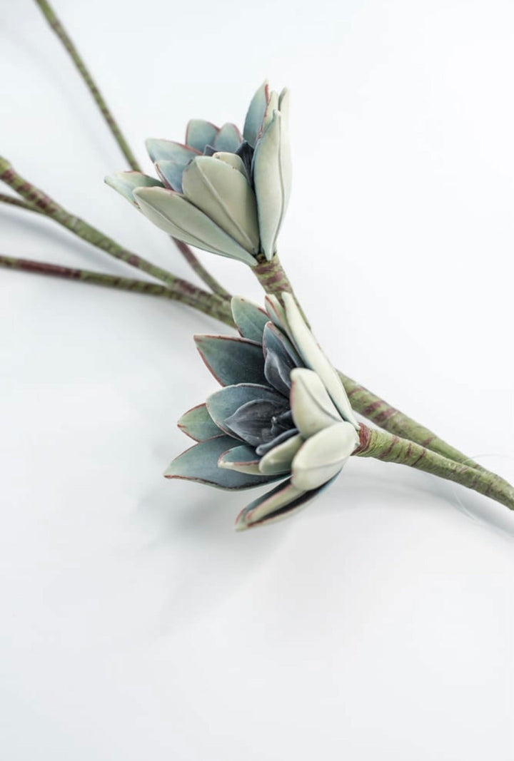 Blue Green Echeveria Hanging - Real Touch - Greenery Market287343
