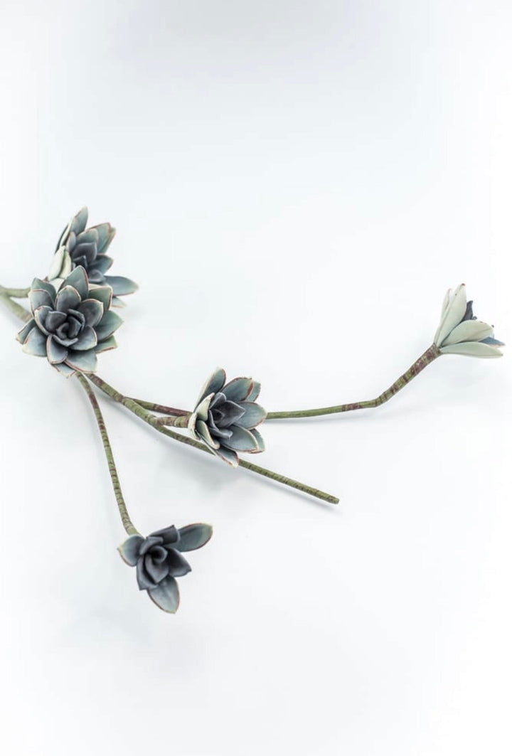 Blue Green Echeveria Hanging - Real Touch - Greenery Market287343