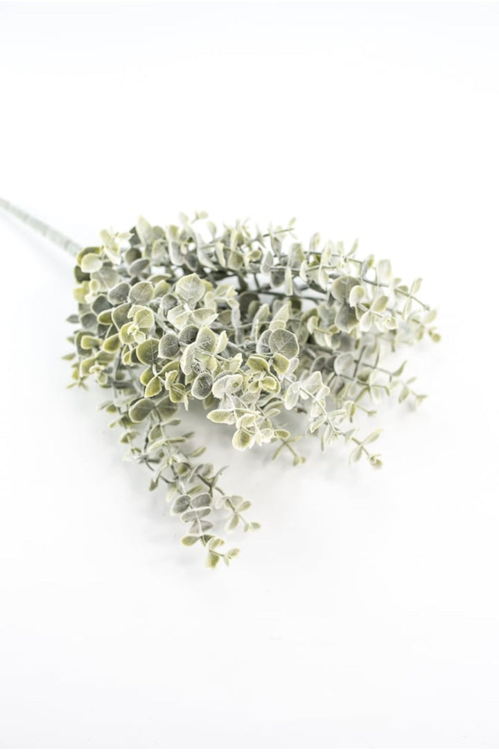 Blue moon eucalyptus bush - Greenery MarketgreeneryFG8821/FG8811