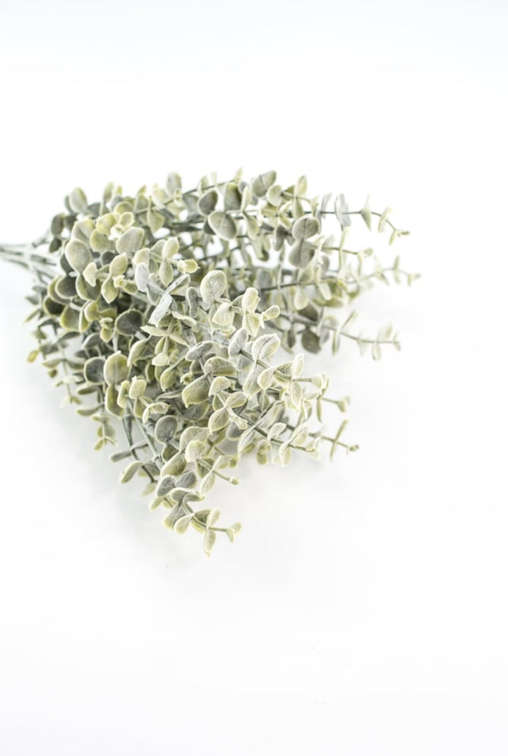 Blue moon eucalyptus bush - Greenery MarketgreeneryFG8821/FG8811