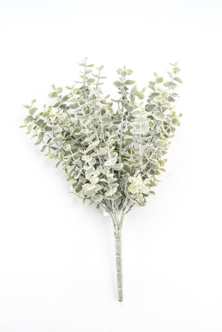 Blue moon eucalyptus bush - Greenery MarketgreeneryFG8821/FG8811
