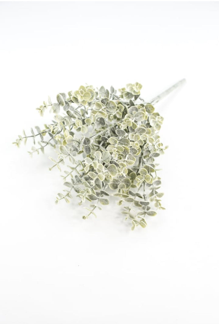 Blue moon eucalyptus bush - Greenery MarketgreeneryFG8821/FG8811