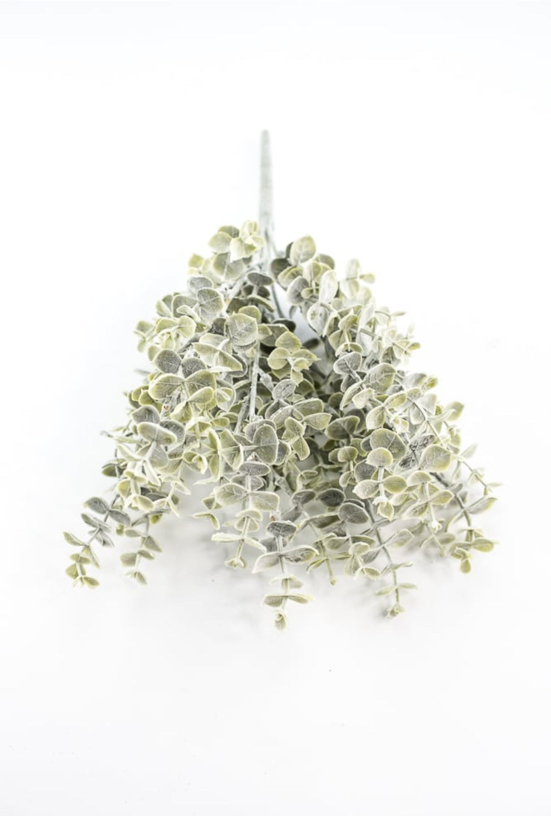 Blue moon eucalyptus bush - Greenery MarketgreeneryFG8821/FG8811