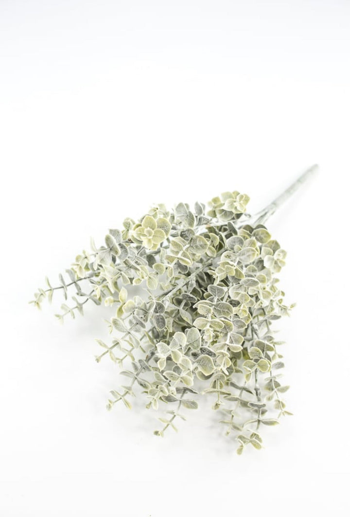 Blue moon eucalyptus bush - Greenery MarketgreeneryFG8821/FG8811