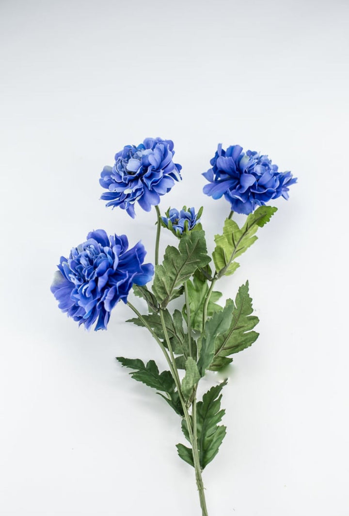 Blue scabiosa spray - Greenery Market5283 - DB