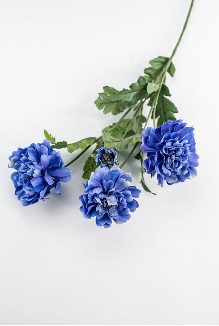Blue scabiosa spray - Greenery Market5283 - DB