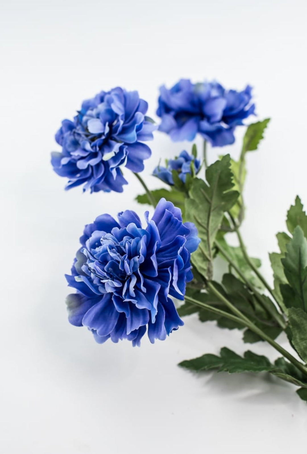 Blue scabiosa spray - Greenery Market5283 - DB
