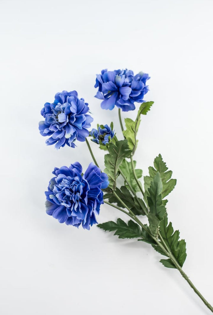 Blue scabiosa spray - Greenery Market5283 - DB