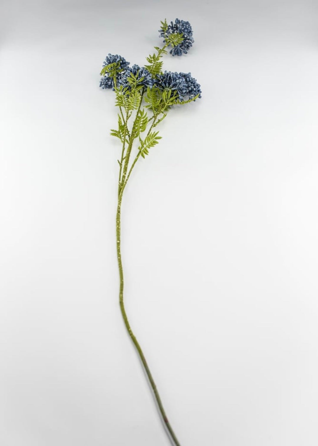 Blue seed spray - Greenery Market5090 - b