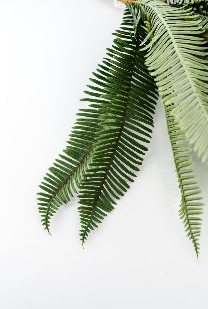 Boston Fern bush green - 16” - Greenery Marketgreenery2320137VG
