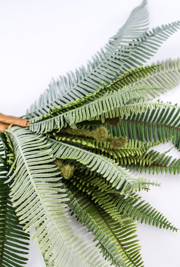 Boston Fern bush green - 16” - Greenery Marketgreenery2320137VG