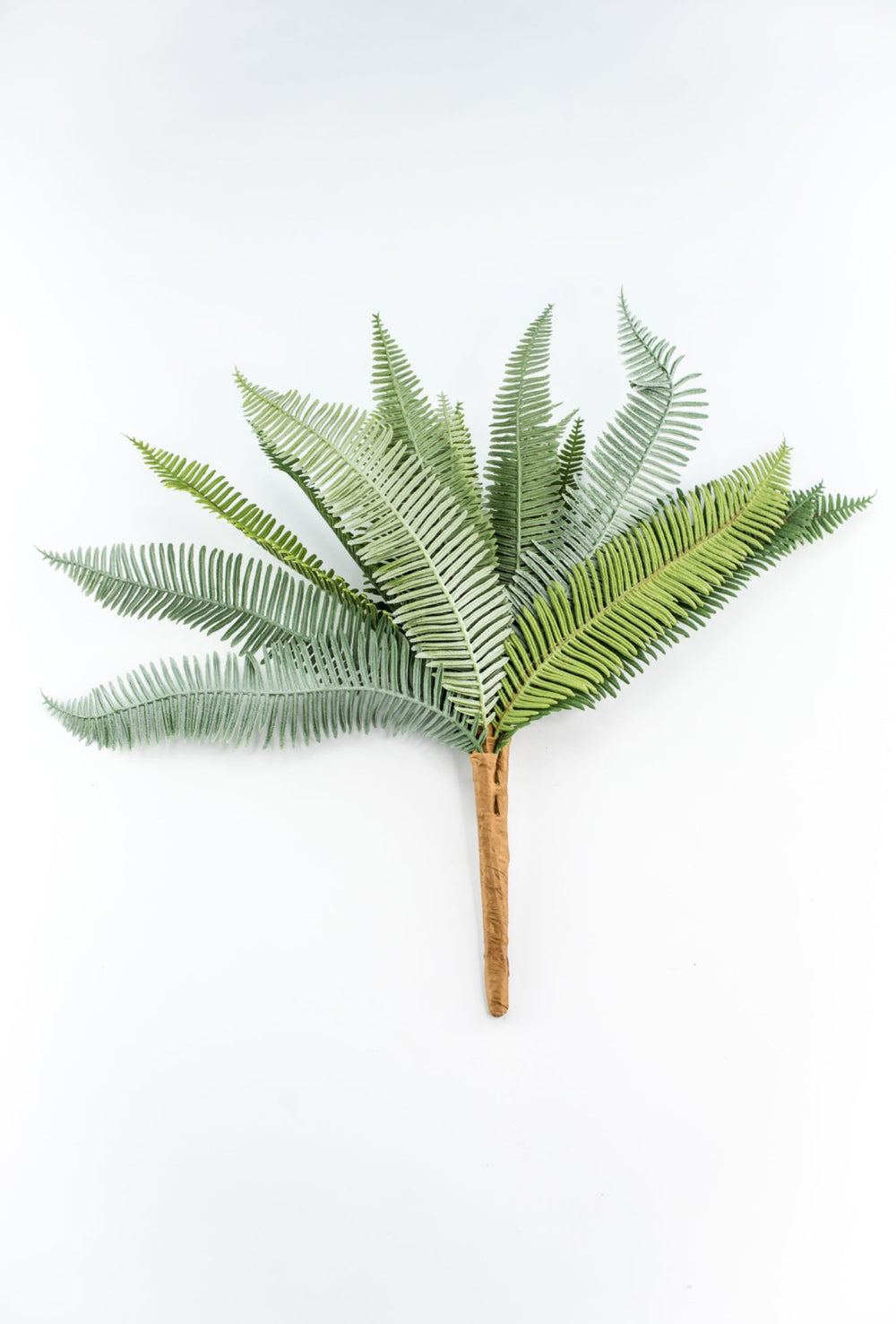 Boston Fern bush green - 16” - Greenery Marketgreenery2320137VG