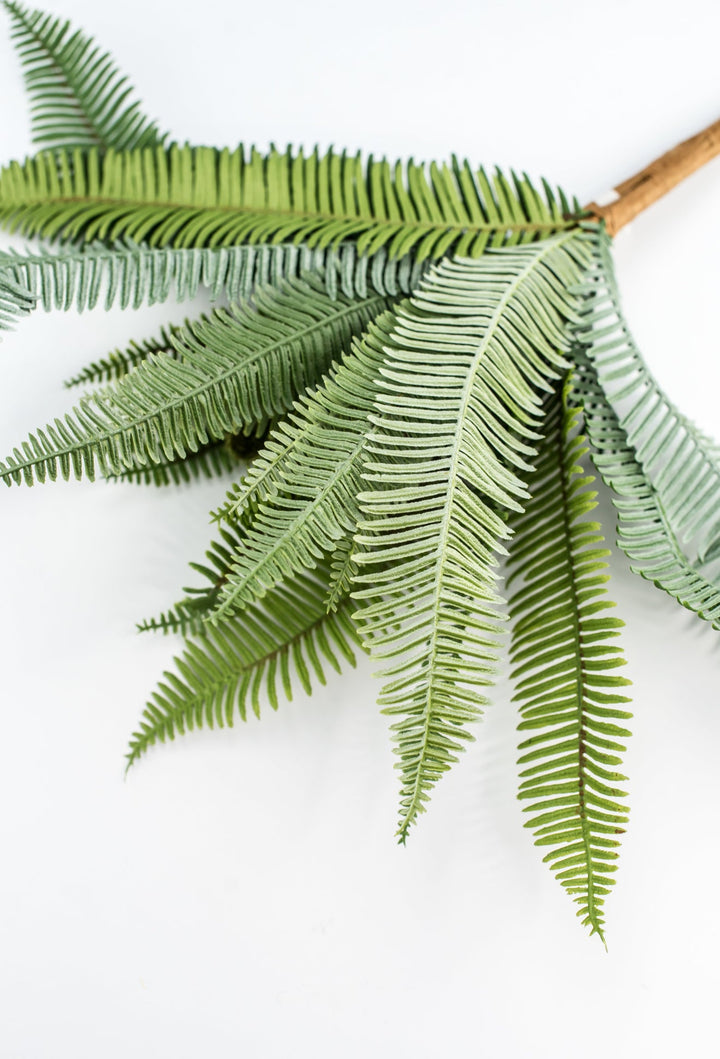 Boston Fern bush green - 16” - Greenery Marketgreenery2320137VG