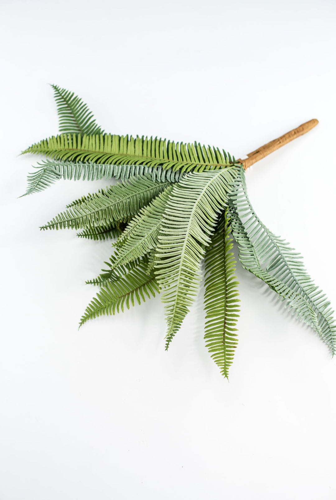 Boston Fern bush green - 16” - Greenery Marketgreenery2320137VG