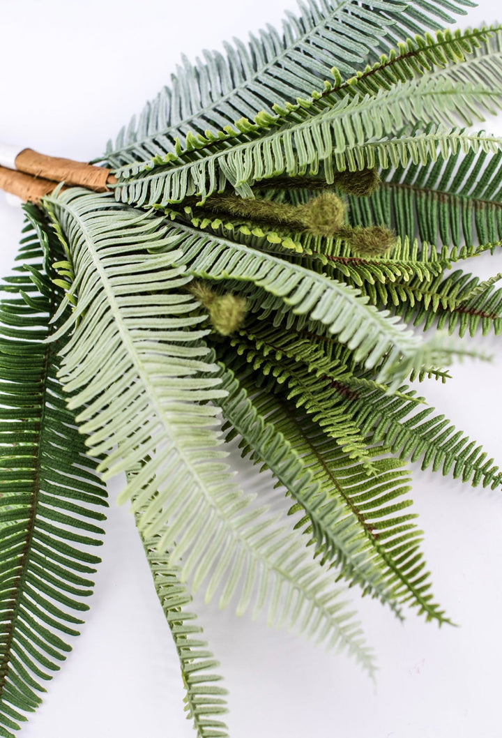 Boston Fern bush green - 16” - Greenery Marketgreenery2320137VG