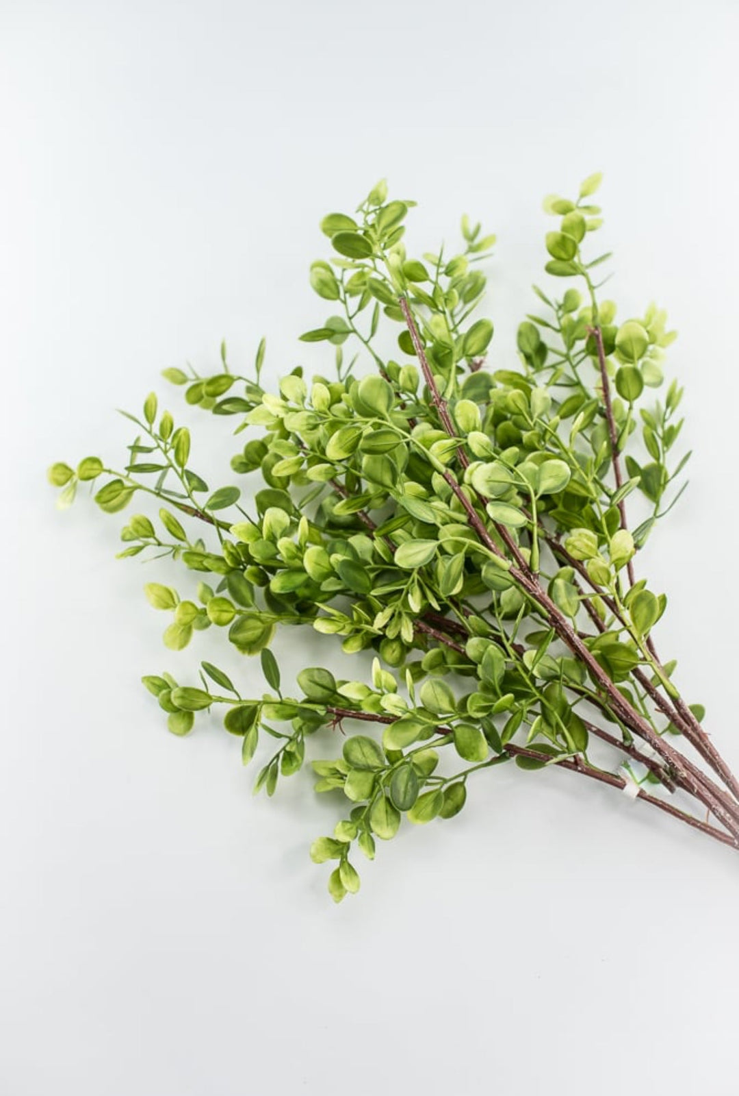 Boxwood bundle - Greenery MarketFl5911 - G