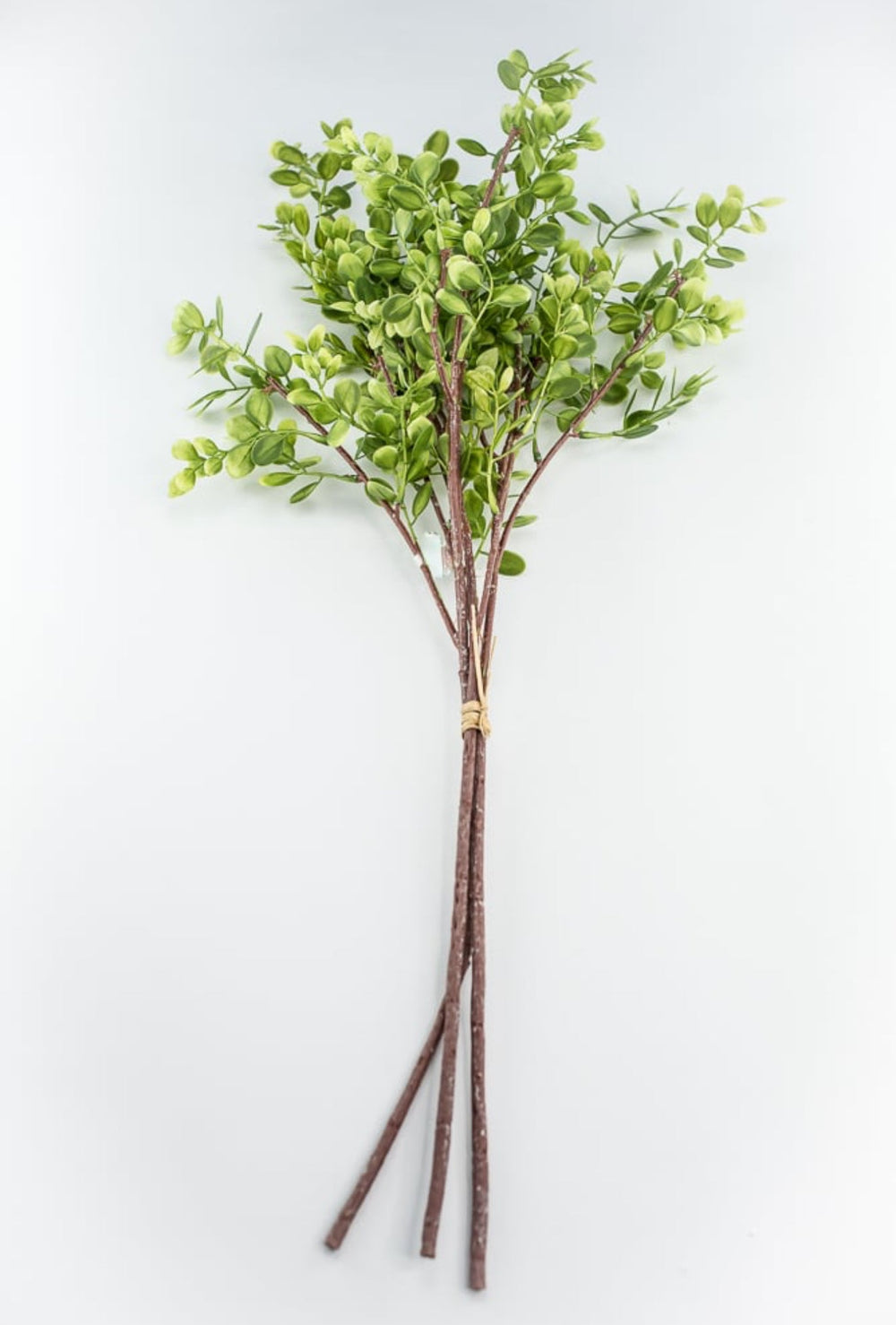 Boxwood bundle - Greenery MarketFl5911 - G