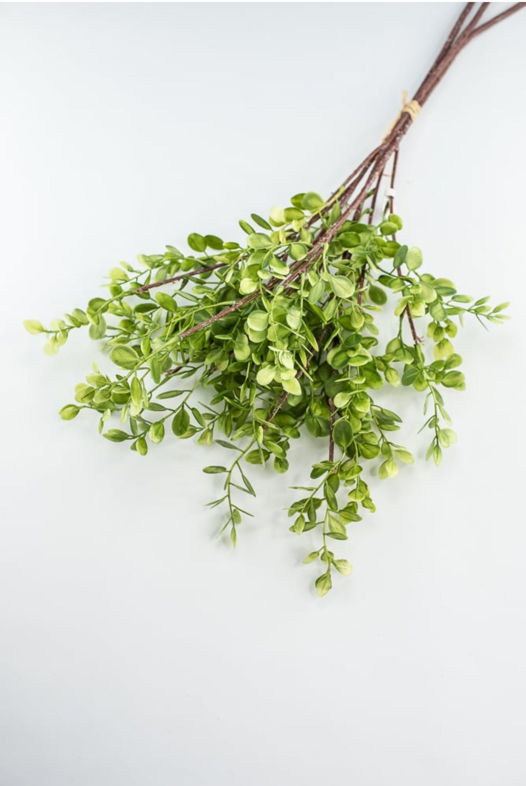 Boxwood bundle - Greenery MarketFl5911 - G