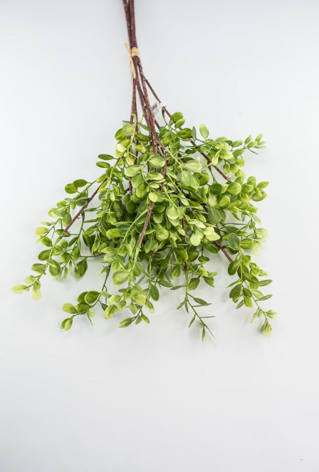 Boxwood bundle - Greenery MarketFl5911 - G
