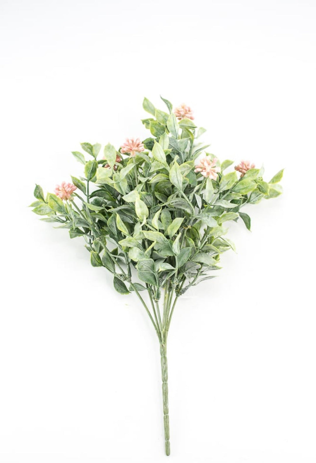 Bud green leaf bush with pink berries - Greenery MarketgreeneryRA5157