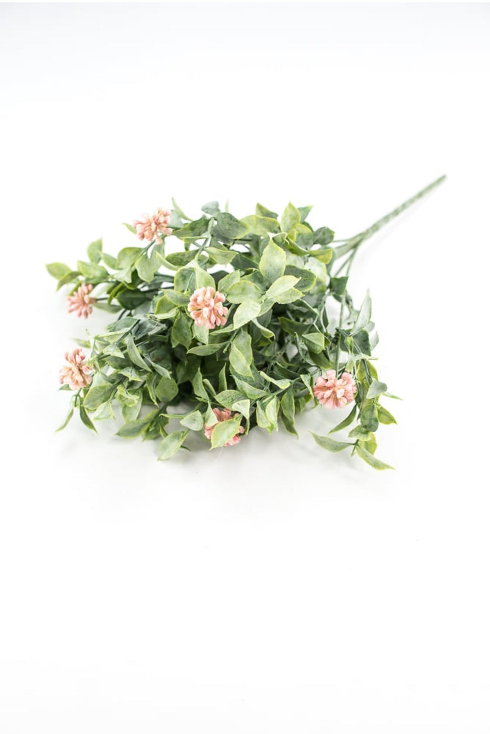 Bud green leaf bush with pink berries - Greenery MarketgreeneryRA5157