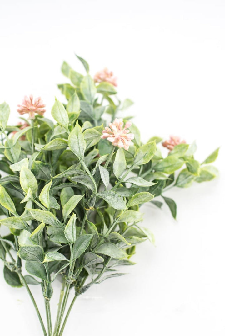 Bud green leaf bush with pink berries - Greenery MarketgreeneryRA5157