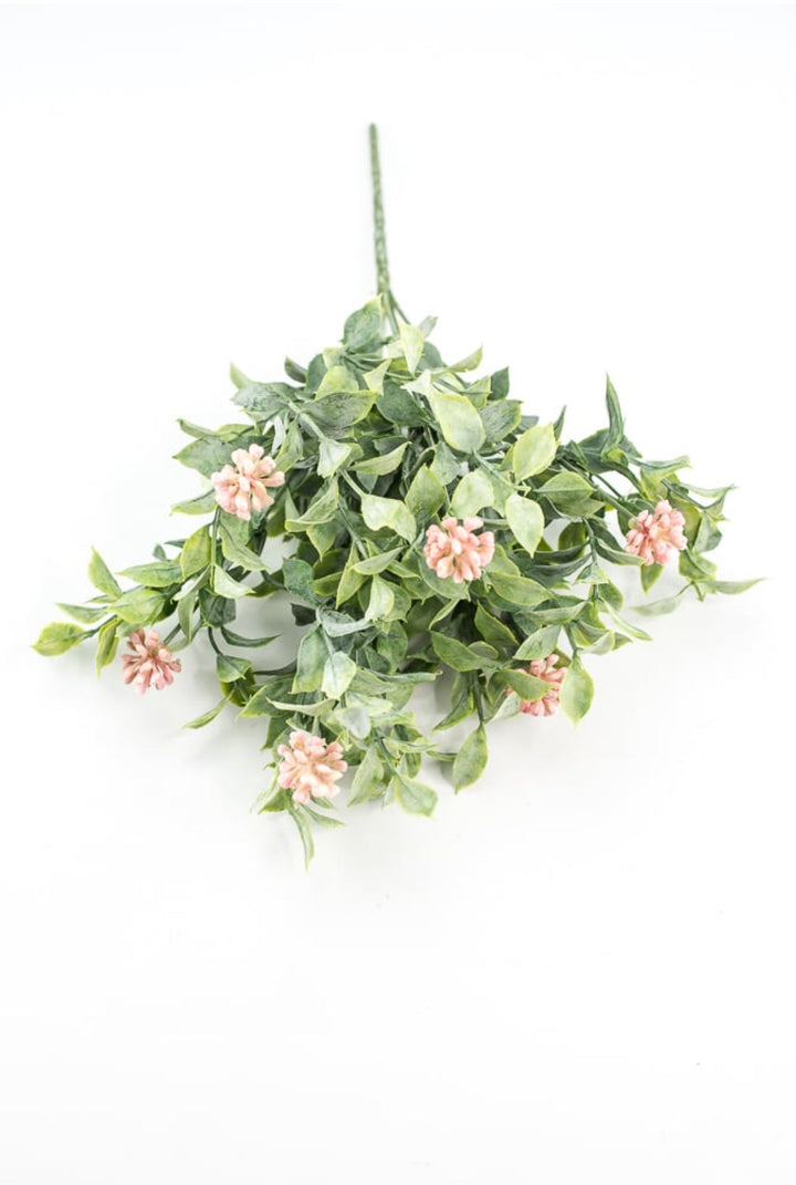 Bud green leaf bush with pink berries - Greenery MarketgreeneryRA5157
