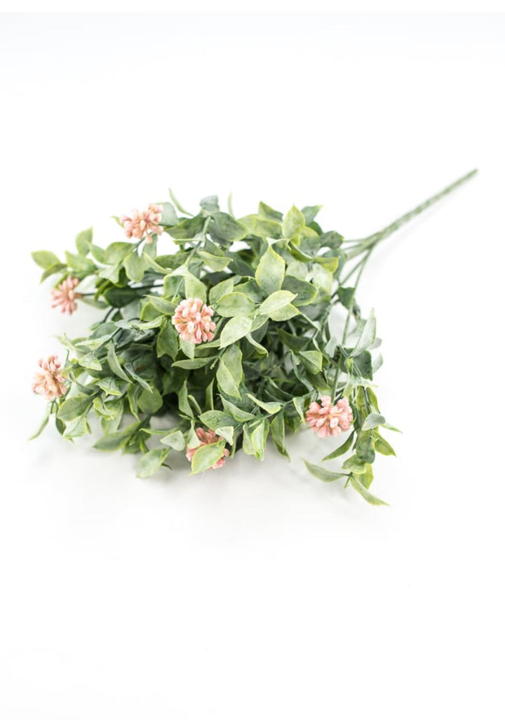 Bud green leaf bush with pink berries - Greenery MarketgreeneryRA5157