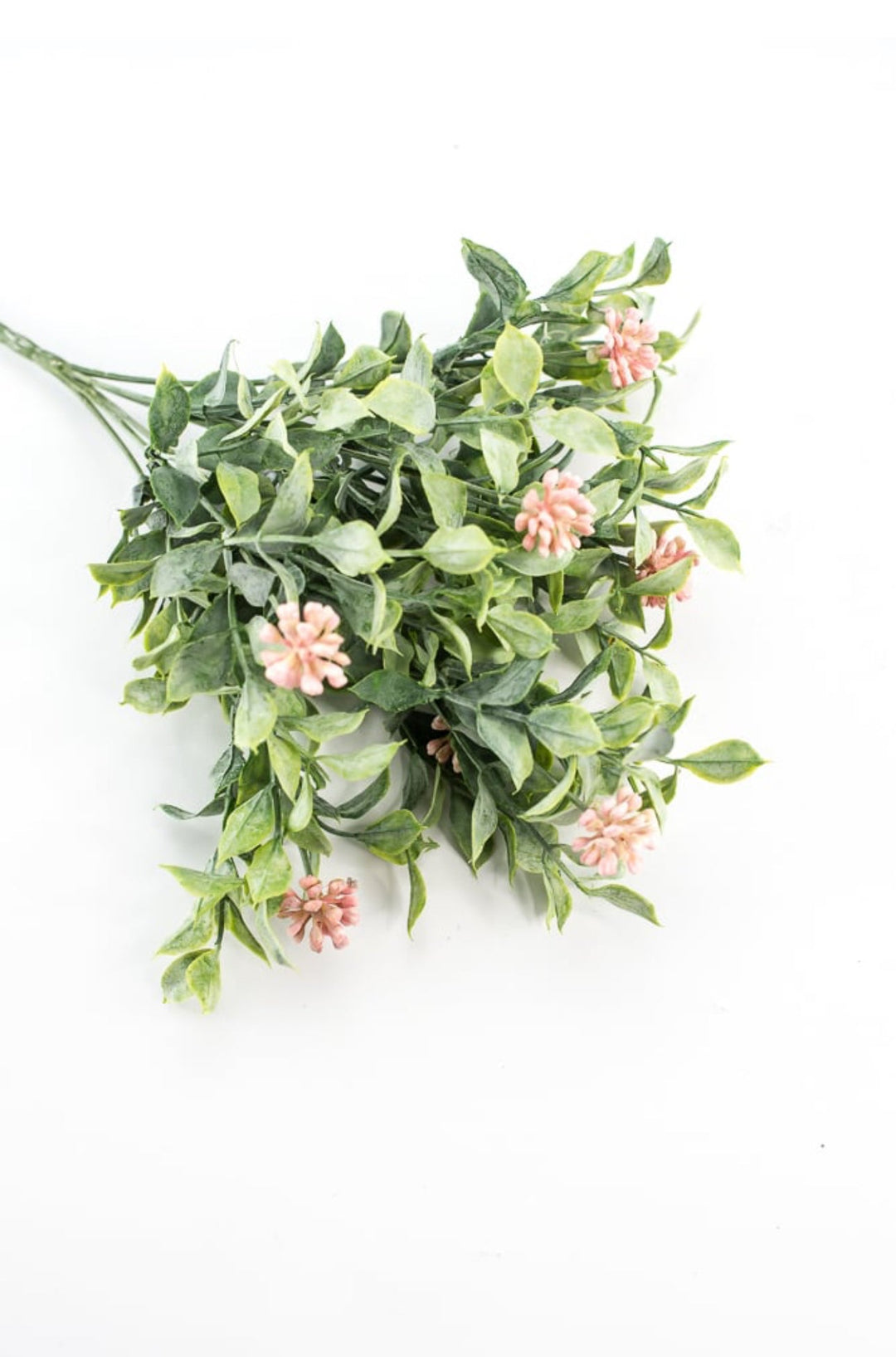 Bud green leaf bush with pink berries - Greenery MarketgreeneryRA5157