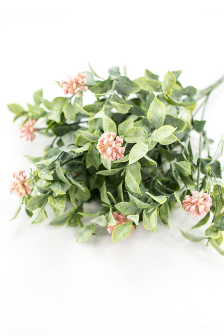 Bud green leaf bush with pink berries - Greenery MarketgreeneryRA5157