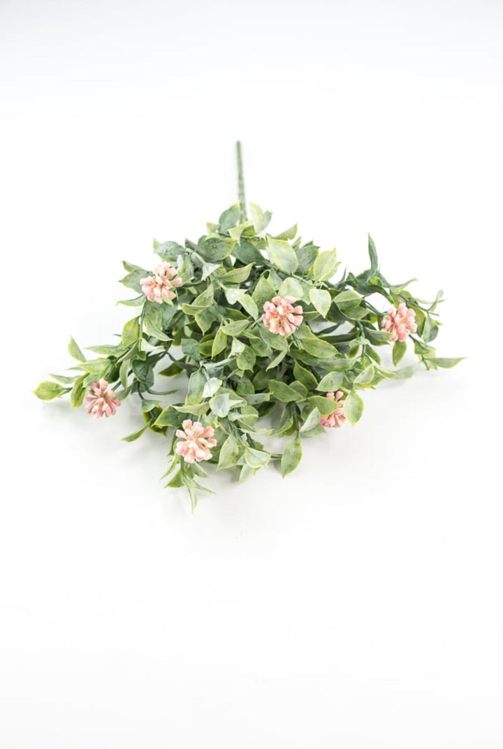 Bud green leaf bush with pink berries - Greenery MarketgreeneryRA5157